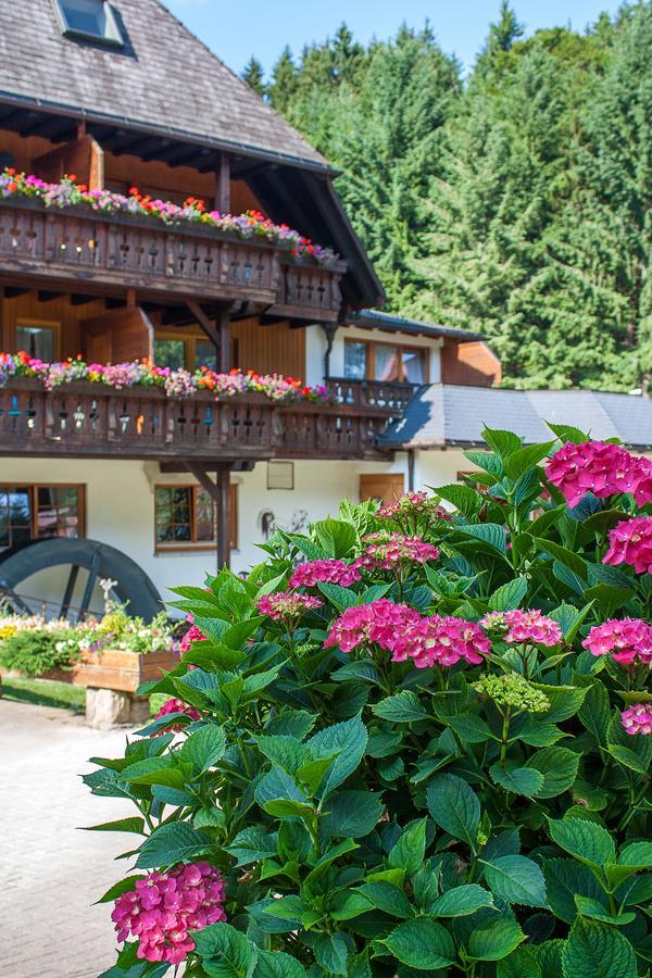 Hotel Tannenmuehle 格兰芬豪森 外观 照片